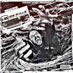 Die Pulle