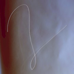 Vexes