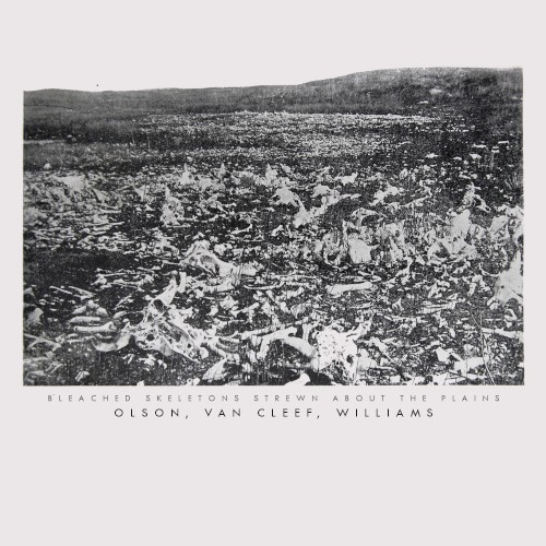 Bleached Skeletons Strewn About the Plains