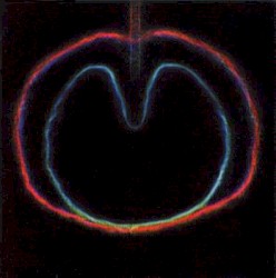 Apple Venus, Volume 2: Wasp Star