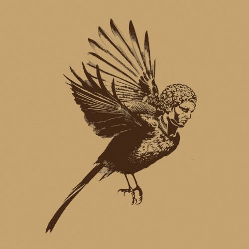What Kind of Bird Am I