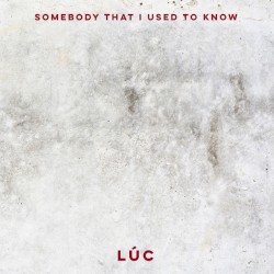 Somebody That I Used To Know