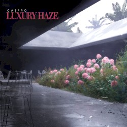 Luxury Haze
