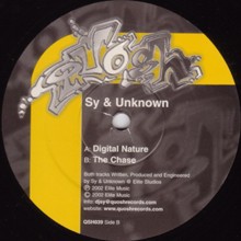 Digital Nature / The Chase