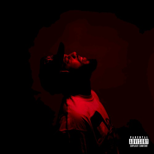 RED GRAPES: Volume 1