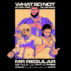 Mr Regular