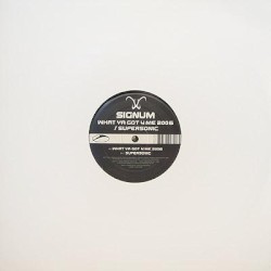 What Ya Got 4 Me 2006 / Supersonic