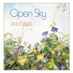Open Sky