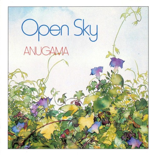 Open Sky