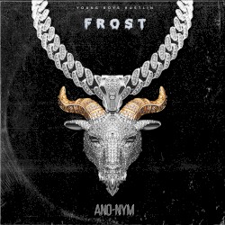 Frost
