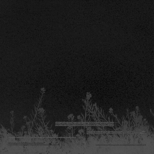 Vehemence