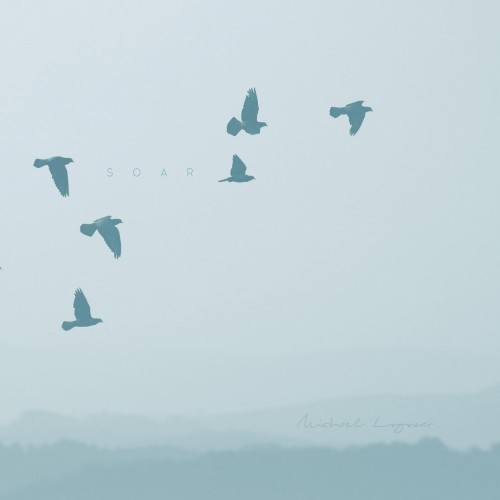 Soar