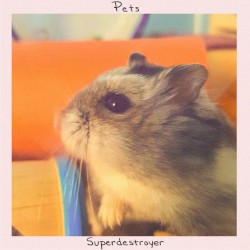 Pets