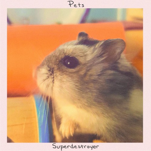 Pets