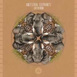 Eritherium