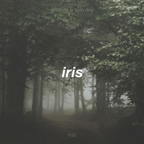 Putting a Spin on Iris