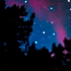 Northern Lights