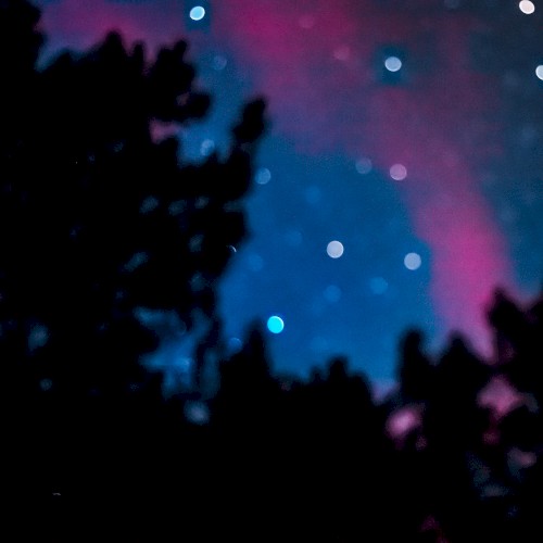 Northern Lights