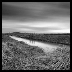 Desolation