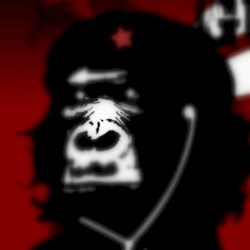 Rage Against the Machine – Guerrilla Radio x HIPPØ & THE JACKET – Dust & Fire