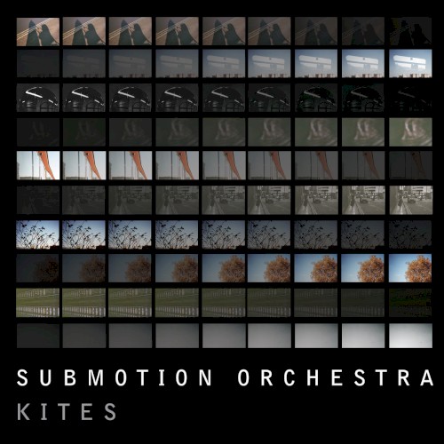 Kites