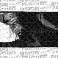 Birds of a Feather / In Defence
