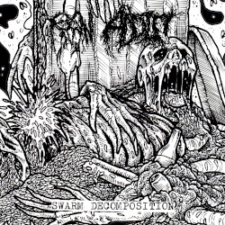 Swarm Decomposition