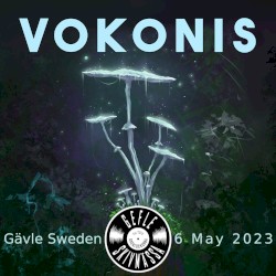 Live at Gefle Skivmässa 2023