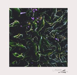 Bi-Monthly Subscription Series 08