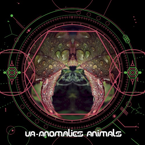 Anomalies Animals