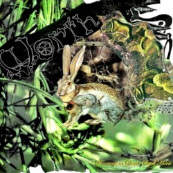Roosting In Death-Sized Horn