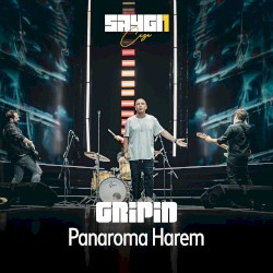 Panorama Harem