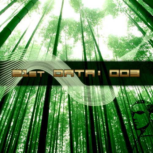 21st Data 003