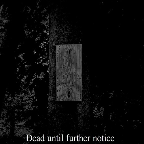 The Epitaphs We Will Engrave in Soil