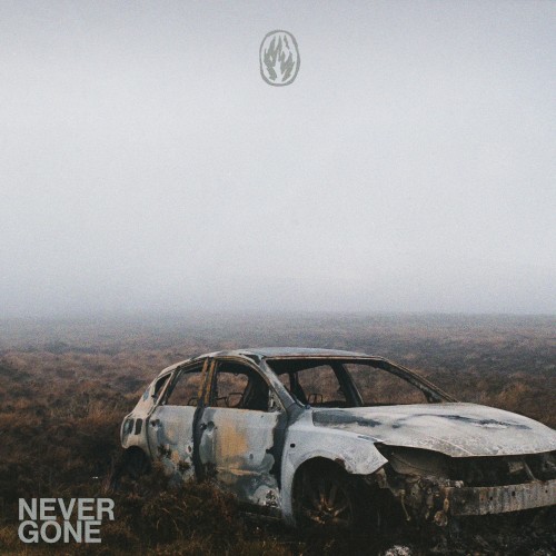 Never Gone