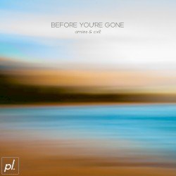 Before You’re Gone