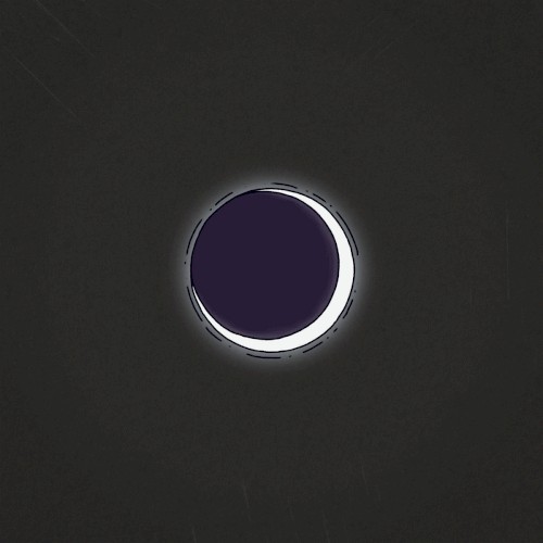 Acoustic Covers