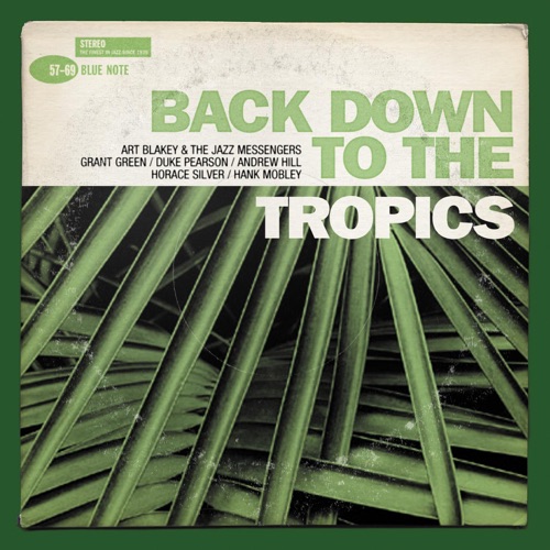 Back Down to the Tropics