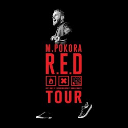 R.E.D. Tour - Live AccorHotels Arena