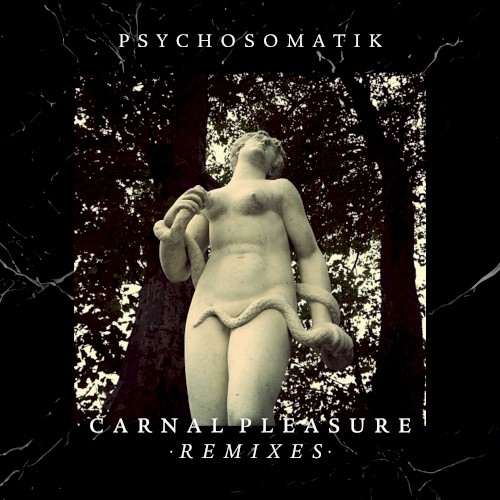 Carnal Pleasure (Remixes)