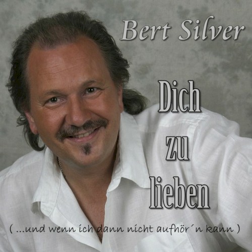 Dich zu lieben (... und wenn ich dann nicht aufhör'n kann)