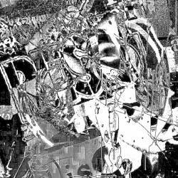 Cr₂ (Live)