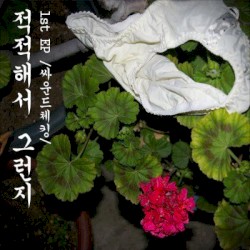 싸운드 체킹