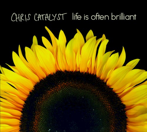 Life Is Often Brilliant