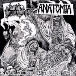 Decomposing Serenades