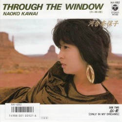 THROUGH THE WINDOW～月に降る雪～