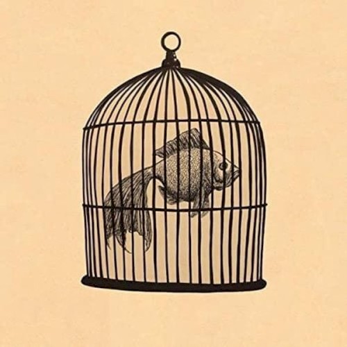 Fish in a Birdcage EP