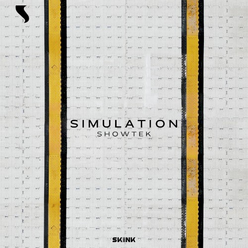 Simulation