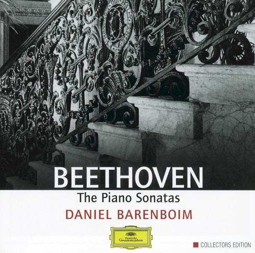 The Piano Sonatas