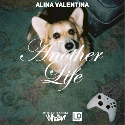 Another Life